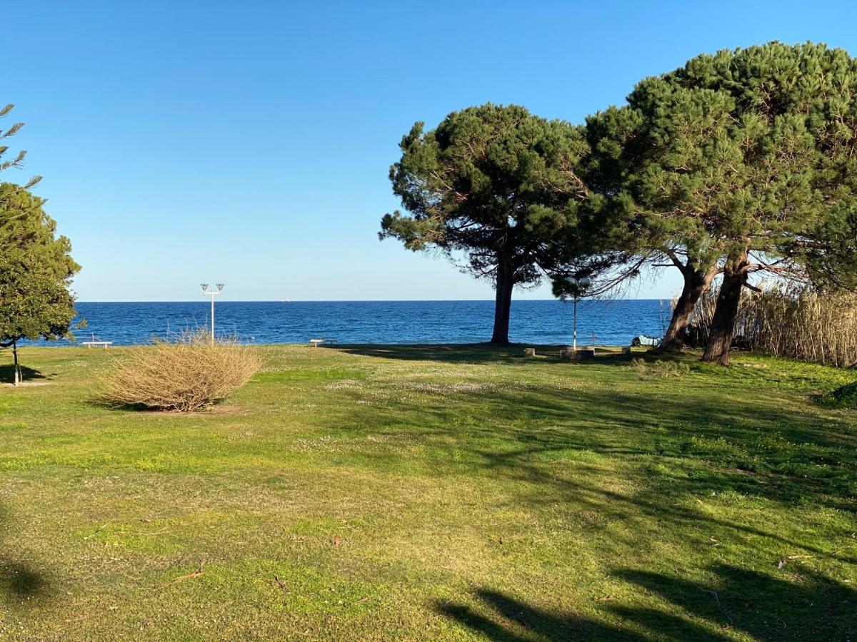 Residence Santa Lucia, Studio Avec Piscine , Vue Mer Et Pied Dans L'Eau , Moriani-Plage Buitenkant foto
